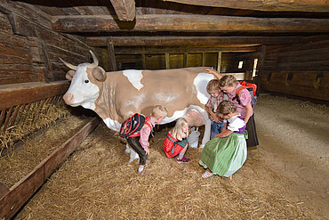 Familie im Museum Tiroler Bauernhöfe, (c) Alpbachtal Tourismus / Grießenböck Gabriele